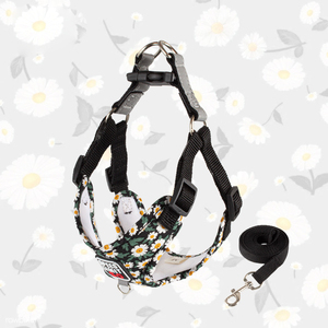 Harnais de poitrine pour chien, imprimé floral, en polyester respirant, avec laisse de traction, équipement de promenade confortable - Product Image 1