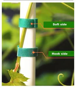 Correas para Plantas de Jardín, Velcro Termosellado Reutilizable, Sin Daños, para Escalar y Fijar Plantas - Product Image 4