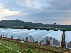 دفيئة بلاستيكية على شكل قوس فعالة من حيث التكلفة لنمو النباتات، دفيئة بسعر المصنع، أفضل جودة، دفيئة رائجة البيع - Product Image 2