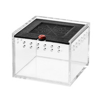 Enclos pliable en acrylique pour reptiles, boîte d'élevage empilable, habitat transparent pour insectes, araignées, scorpions