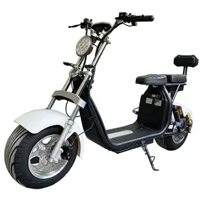 Model X10 Cool Popular Product Two Big Wheel Motorcycles Good Sale Electric Scooter China Simple Design Skuter