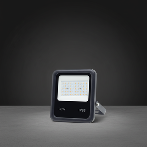 Projecteur LED AC/DC pour Jardin Extérieur et Couloir, 30 Watts, Haute Luminosité, IP65, Certifié CE, avec Angles de Faisceau Multiples - Product Image 1