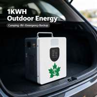 Station d'alimentation solaire tout-en-un à onde sinusoïdale pure 0,5 kW avec batterie LiFePO4 1 kWh, portable pour scénarios hors réseau en cabane