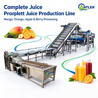 Fabrieksleverancier Automatische Fruit Sapverwerkingsinstallatie Complete Sapverwerkingsapparatuur voor de Fruitdrankindustrie