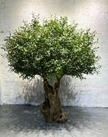 Künstlicher Olivenbaum Lebensechte Kunstpflanze Hoher Topfbaum für Garten, Terrasse, Rasen, Landschaftsgestaltung, Außendekoration, Hofornament, Heimdekoration