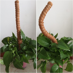 Poteau en fibre de coco écologique et pliable, design minimaliste pour le soutien des plantes <span class=keywords><strong>Monstera</strong></span>, utilisation intérieure/extérieure, jardin domestique - Product Image 3