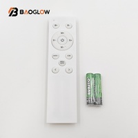 Nouvelle innovation 2025 en gros : Contrôleur RF sans fil 12 touches pour mini-bande LED CCT DC à LED dynamiques WS2811/2812 avec variateur