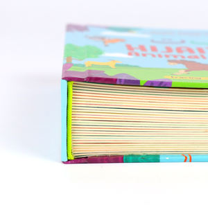 <span class=keywords><strong>หนังสือ</strong></span>ปกแข็งสำหรับเด็กบอร์ดพิมพ์ลายสำหรับเด็ก - Product Image 6