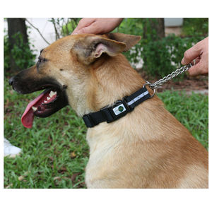 समायोज्य चिंतनशील pvc कुत्ते प्रशिक्षण लेश स्टेनलेस लूप पंड नायलॉन आधा चोक श्रृंखला ठोस धातु रिबन प्रतिबिंबित पालतू - Product Image 3