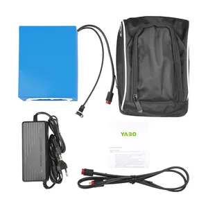 Bag Type PVC Ebike Battery Pack Bag 24V 36V 48V 14.5Ah 15Ah 16Ah E Bike Dual Battery 24V Bicycle Electric Battery