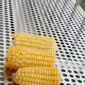 Lưới Kim Loại Đục Lỗ Lưới Lọc Công Nghiệp - Product Image 3