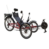 Tricycle électrique à assistance au pédalage 500W, trois roues, 21 vitesses, roues de 20 pouces, frein à disque