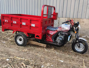 150cc 200cc Hacimli Motorlu, 2 Ton Yük Kapasiteli Kargo Üç Tekerlekli Motosikletler - Product Image 1