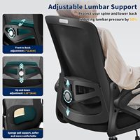 Chaise de bureau ergonomique Nexthro avec support lombaire réglable, dossier en maille respirante et accoudoirs relevables, pour bureau à domicile (noir)