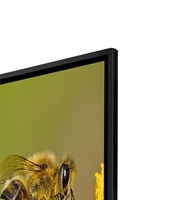 Outil éducatif Affichage tactile au sol permanent Totem Signalisation numérique Transformer les environnements d'apprentissage Contenu dynamique