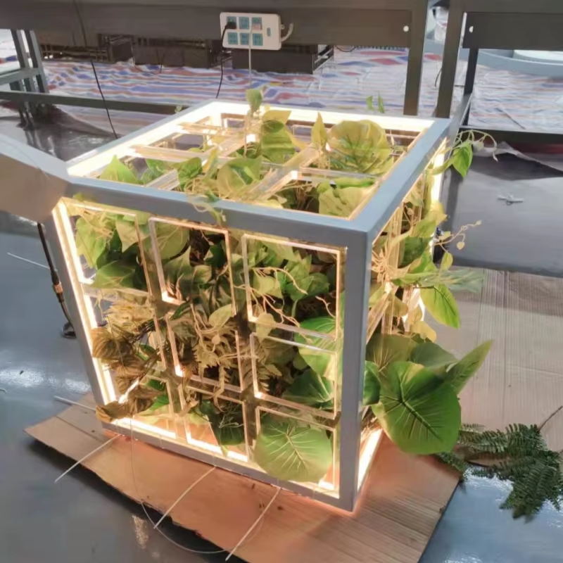 สีขาวอบอุ่น