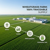Poudre d'herbe de blé Astrawell de haute pureté, certifiée ISO HACCP, qualité alimentaire, approvisionnement en vrac