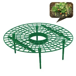 Cheap Plastic Strawberry Plant Support Garden Strawberry Fruit Tray Grids Support Holder Cages Growing Frame Garden Tools Kits