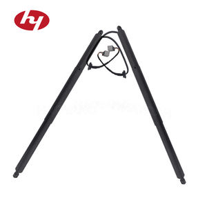 Puntal de portón trasero eléctrico derecho 670109047 para Maserati <span class=keywords><strong>Levante</strong></span> - Product Image 1