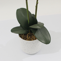 JWS3687 Nouveau Design Orchidée Artificielle Fleur Plante Orchidée Artificielle Intérieur Salon Décoration Plantes Plantes En Pot