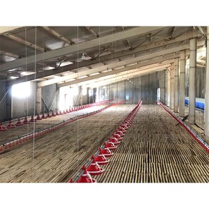 Kanatlı Yetiştirme Çiftliği Tavuk Ördek ve Kaz Yem Sistemi Hayvan Kafesleri için Otomatik Taşıma Besleme Tepsisi - Product Image 5
