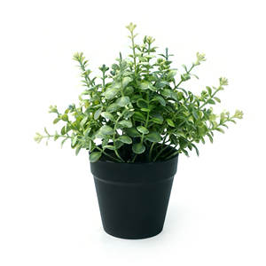 Plante artificielle <span class=keywords><strong>en</strong></span> <span class=keywords><strong>pot</strong></span> avec feuilles de faux <span class=keywords><strong>eucalyptus</strong></span> et terreau synthétique, vente <span class=keywords><strong>en</strong></span> gros, verdure décorative <span class=keywords><strong>pour</strong></span> la maison - Product Image 1
