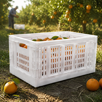 Caisse de rangement pliable en maille ventilée réutilisable, en plastique empilable, recyclable et écologique pour la logistique