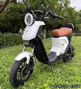 Disiyuan Motos Strong U2 Bicicleta eléctrica 1000W 60V 30ah Ciclomotor Neumático gordo Motocicleta eléctrica - Product Image 5