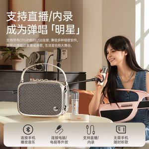 Divoom Oriental Azure Phoenix Speaker 100W Portable Guitar Singing Amplifier With 2 <b>Microphones</b> <b>Bluetooth</b> Rechargeable - Product Image 4