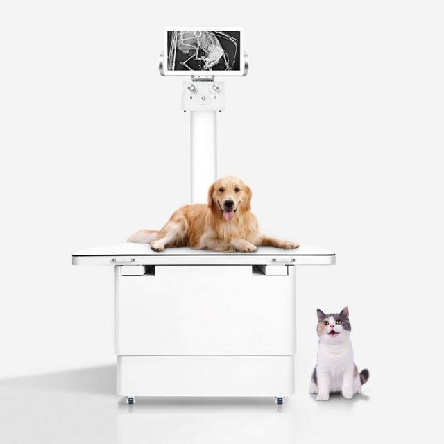 Vet DR Dynamic Digital X-ray Imaging System (Model MSLVX01) for Cats Dogs Horses-Essential for Accurate Diagnosis