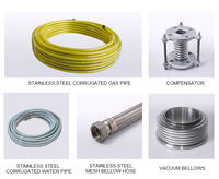 Connecteur d'eau chaude en acier inoxydable SS 304 316 L, tuyau métallique flexible ondulé, tuyau de gaz flexible, ligne d'alimentation en gaz PVC