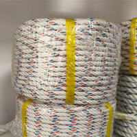 Cuerda de Pesca de Plástico PP, Estructura Trenzada de 3/4 Hilos, Color Personalizado, Diámetro de 1-30 mm, Cuerda de Embalaje