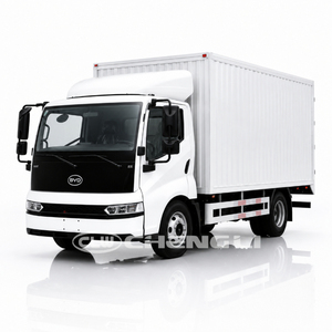 Camioneta Eléctrica BYD T5EV, Furgoneta de Carga con Puertas Laterales para Logística Urbana - Product Image 1