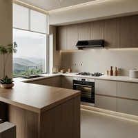 Meubles de cuisine sur mesure directement de l'usine, armoires de rangement pour appartements, villas, hôtels, magasins, aménagement de boutiques