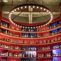 Lustre Industriel Américain en Or, Suspension LED E26 Sur Mesure, Câble Réglable pour Salle de Sport, Bar, Club, Restaurant, Librairie