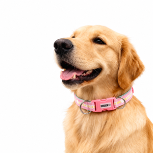 Collar de Perro Acolchado de Algodón Espacial con Hebilla de Liberación Rápida, Doble Anillo Metálico, Correa Transpirable Estampada para Mascotas, para Cachorros Pequeños y Medianos - Product Image 1
