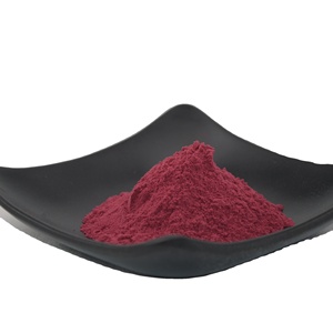 Bột Cà Chua Cô Đặc Chiết Xuất Khô Nắng Cung Cấp Từ Nhà Máy - Product Image 2