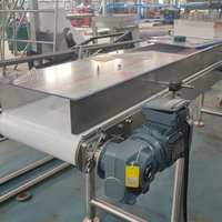 Seau en plastique de qualité alimentaire convoyage horizontal convoyeur élévateur de type Z pour collation sucre bonbons chips de pomme de terre tomate