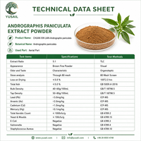 YUSAIL Ingrédient en vrac pour compléments alimentaires : Poudre d'extrait d'Andrographis Paniculata 10:1, Andrographolide, Extrait végétal naturel HPLC