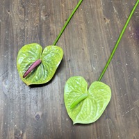 Mehrfarbiges Neues Design Großformatiges 15cm Realistisches Künstliches Anthurium Künstliche Flamingo-Lilie Einzelner Stiel für Heim Hochzeit Vasen-Dekoration