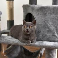 Arbre à chat moderne de qualité supérieure, écologique, en bois, avec 2 niches, 10 poteaux à gratter, jouets suspendus en fausse fourrure et sisal pour chats