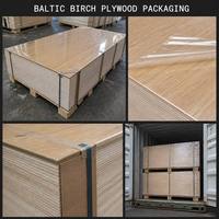 Contrachapado de Abedul Báltico Transparente Texturizado de 3/9/18 mm, Panel Ecológico con Acabado UV para Decoración de Muebles de Cocina y Hogar