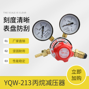 ตัวปรับแรงดันโพรเพน Tianchuan รุ่น YQW-213 0.25*4Mpa วาล์วลดแรงดันแบบขั้นตอนเดียว - Product Image 4
