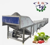 Fabrieks Prijs Elektrische Stoom Fruit- en Groente Blancheringsmachine Paddenstoelen Zeekomkommer Perzik Groene Bonen Blancheringsmachine
