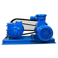 Pompa Bahan Bakar Rotary Vane untuk Penggunaan Kelautan 600-1000l/M Pompa Transfer Bahan Bakar Diesel Kelautan