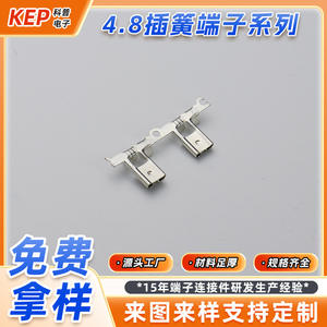 Terminal de Desconexión Rápida de 4.8mm con Resorte, Conector de Cableado de Cobre Puro de Inserción Macho-Hembra de 2 Polos - Product Image 2