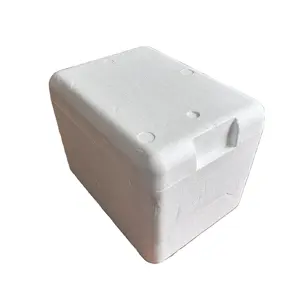 EPS 50mm 가장자리 보호기가있는 냉동 보관 상자