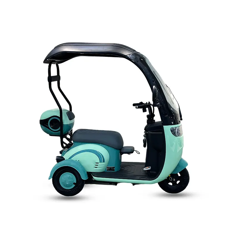 Tricycl Eec Dreirad Elektro Moto Driewieler De Carga Electr Trike Auto Rikshaw Scooter Zijspan Triciclo Para 3 Elektrische Driewieler