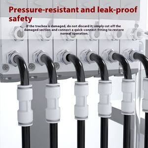 Conector neumático recto de 1/4 "PU 4/6/8/10/12mm Tubo de manguera de agua de aire Accesorios rectos de un toque Azul proporcionado 3 meses - Product Image 5