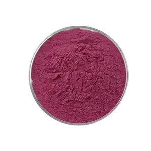 도매 가격 아카이 베리 과일 분말 안토시아닌 아카이 베리 추출물 분말 - Product Image 2